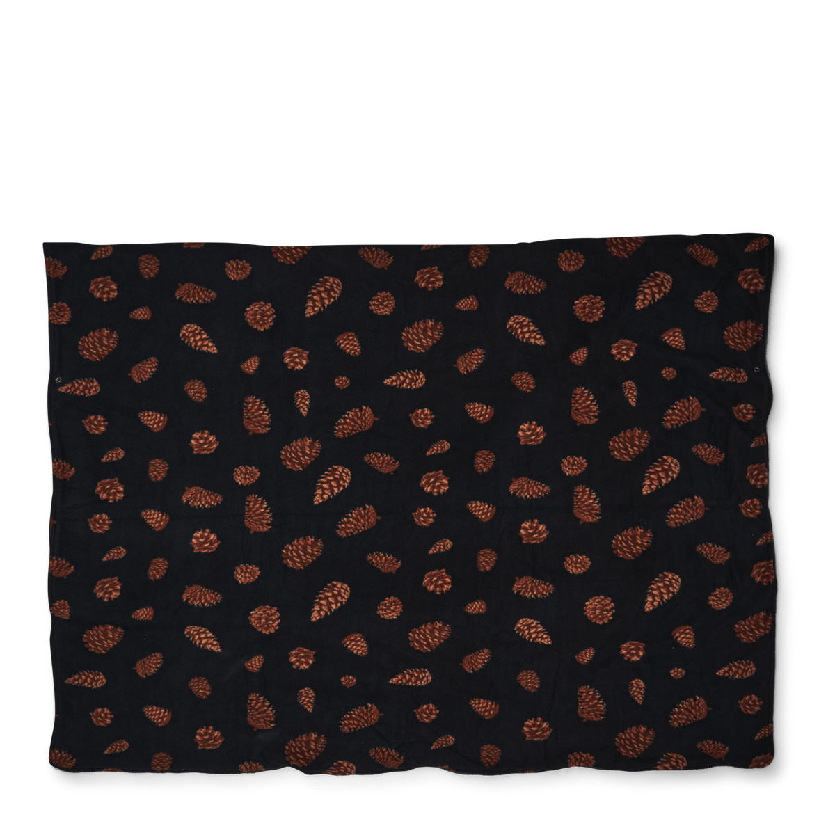 Hibernator Pine Cones