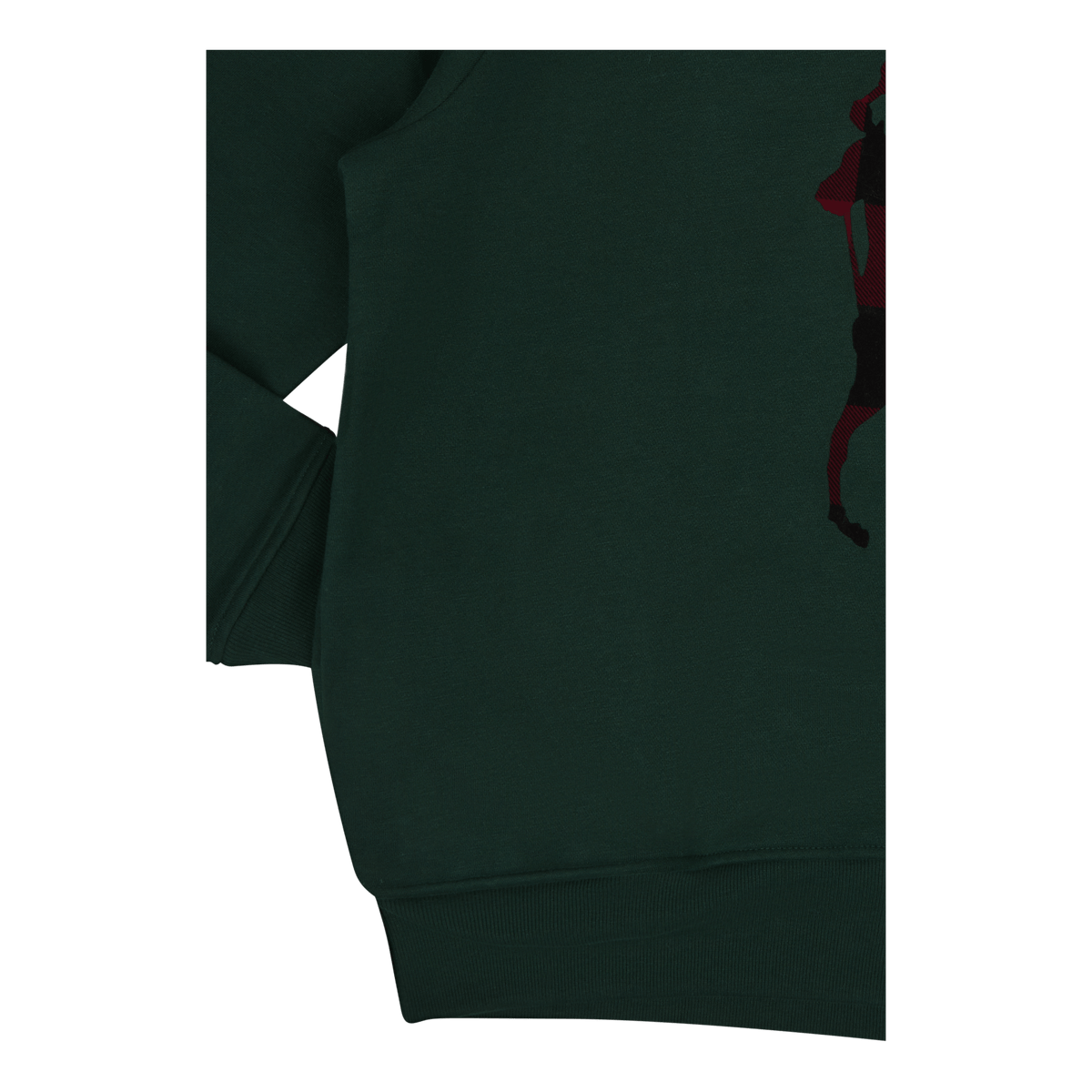 Checked Big Pony Logo Fleece Hoodie College Green