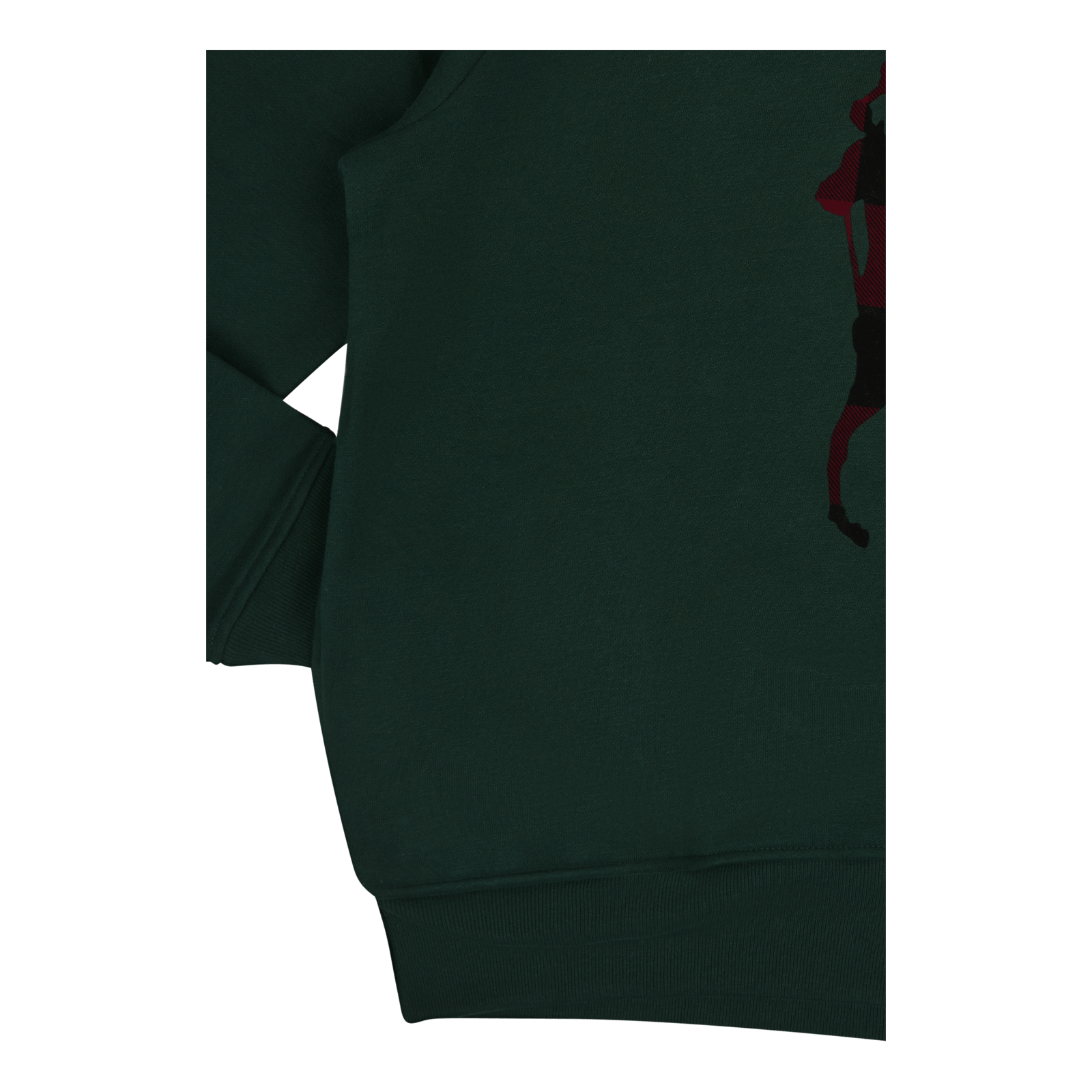 Checked Big Pony Logo Fleece Hoodie College Green