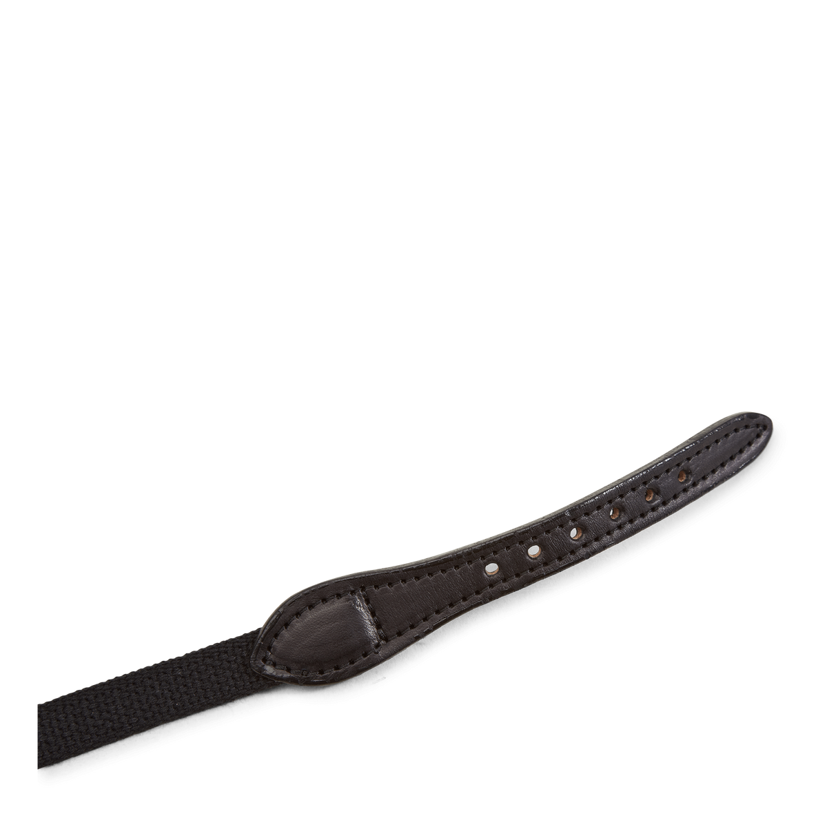 Found My Animal / Cl-collar Black