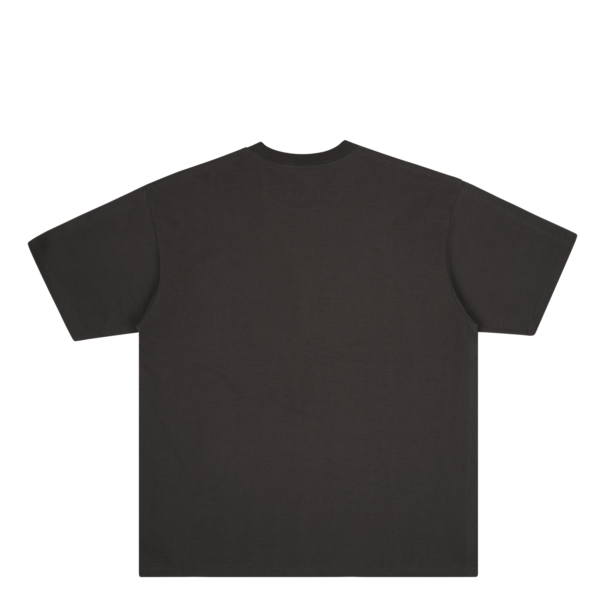 Fw-4 / C-tee.ss Gray