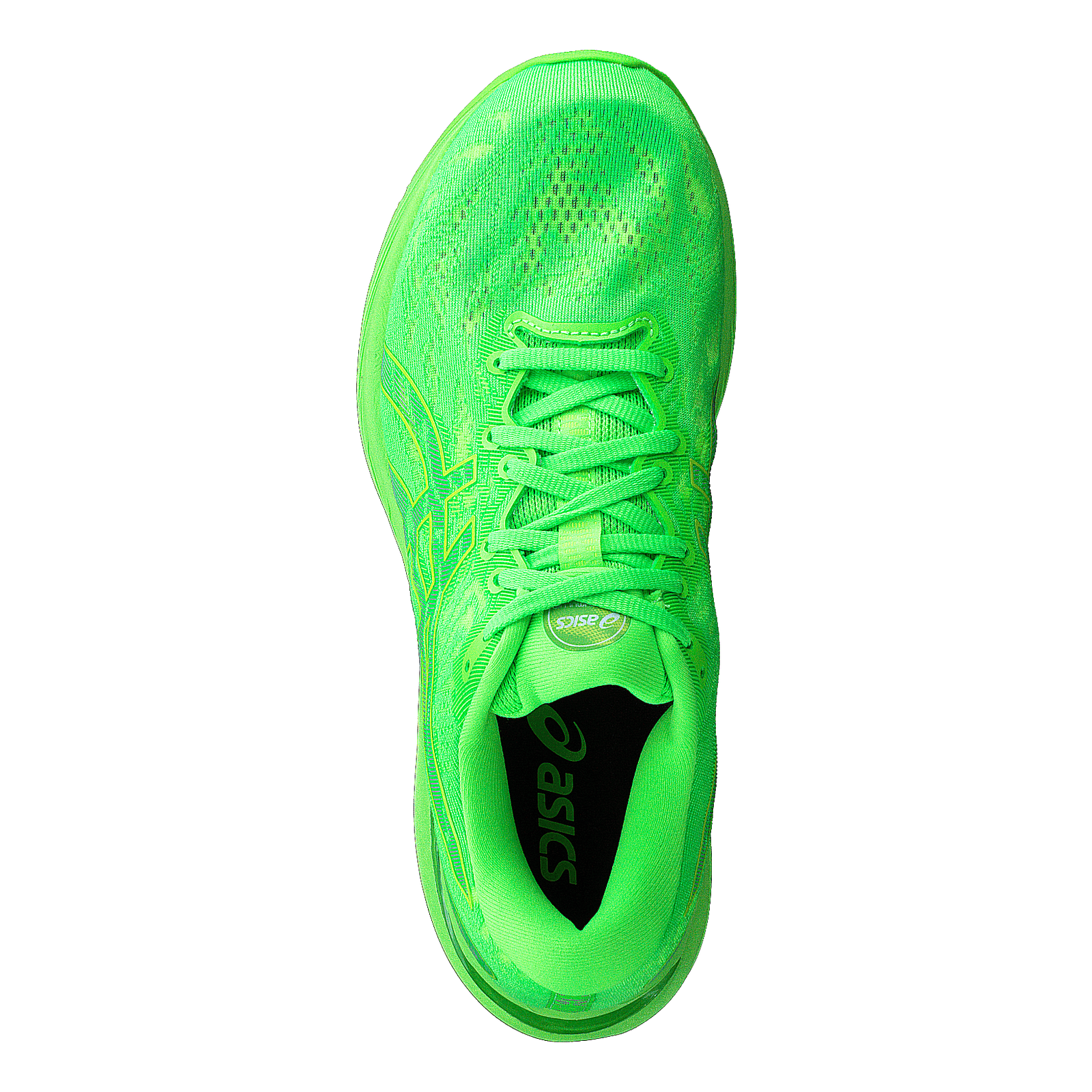 Gel-cumulus 23 Lite-show Lite-show/green Gecko