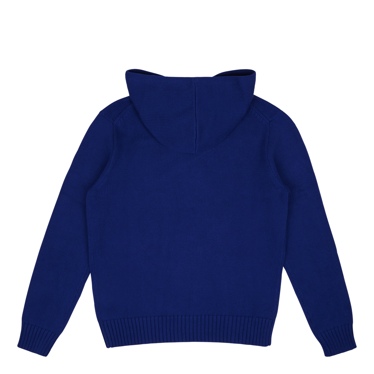 Polo Bear Hooded Sweater
