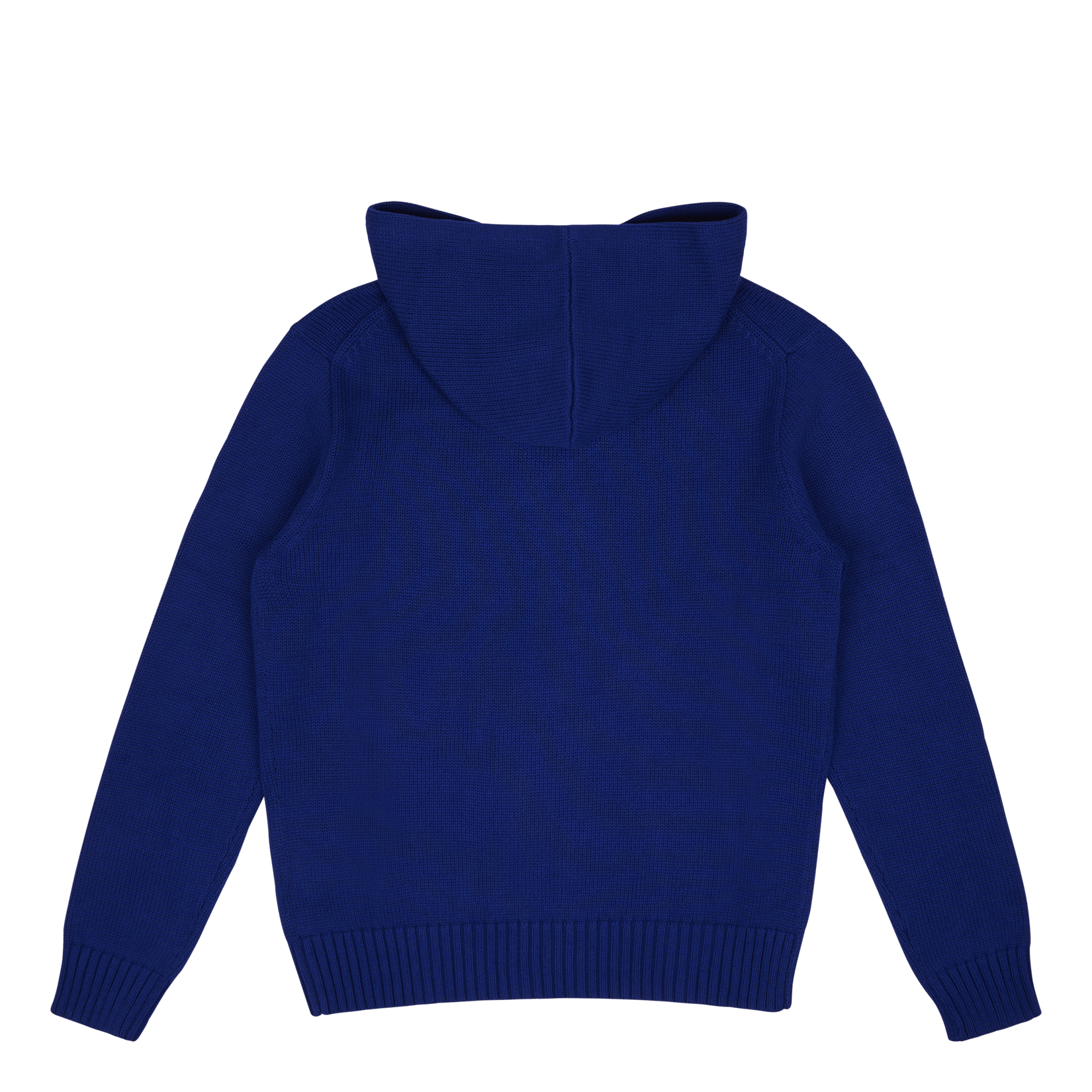 Polo Bear Hooded Sweater