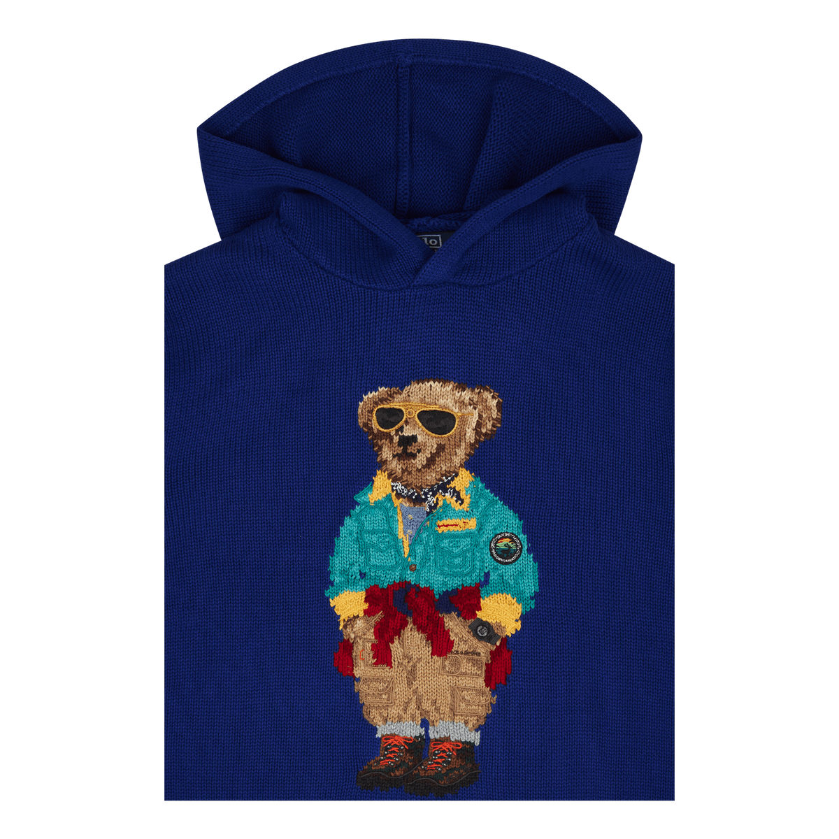 Polo Bear Hooded Sweater