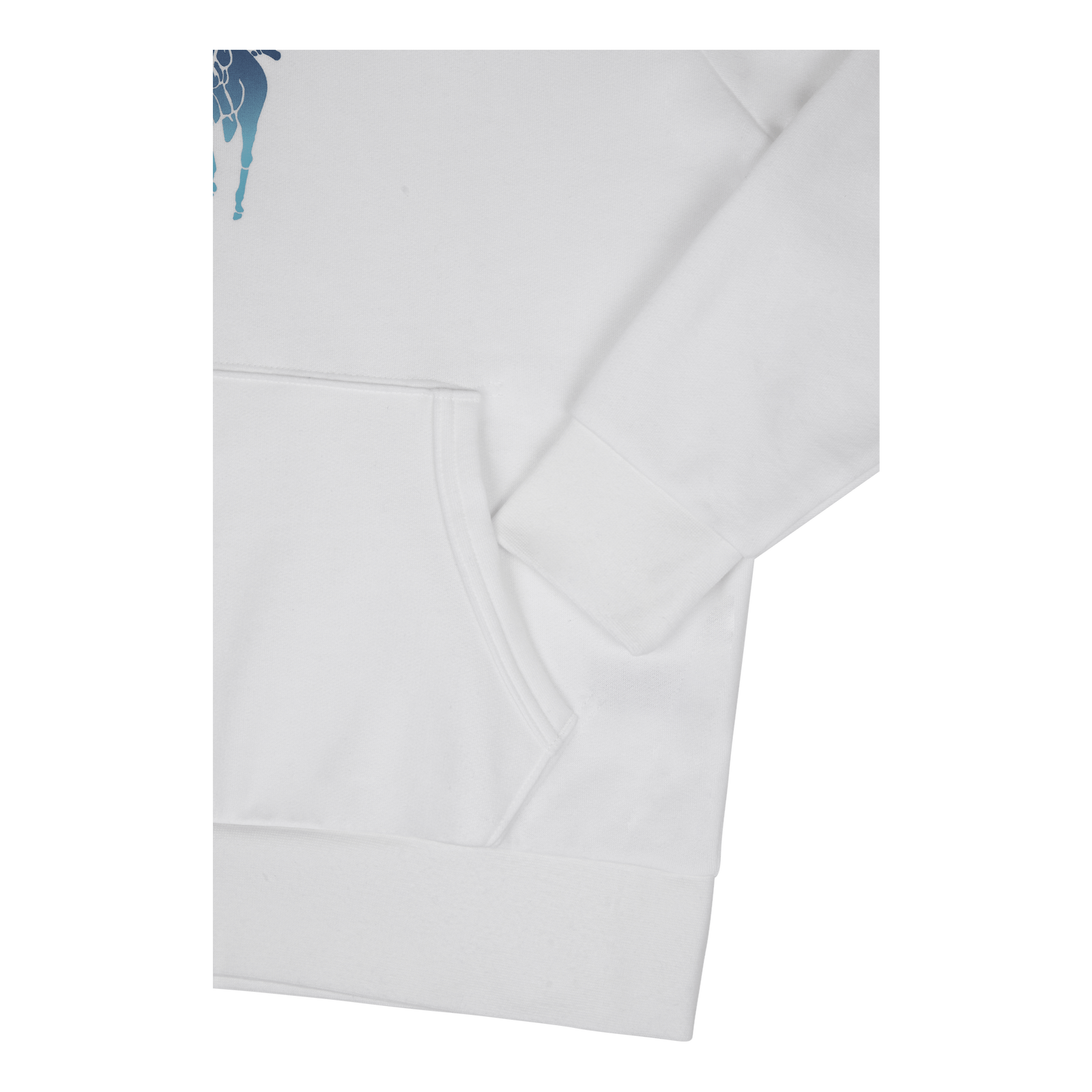 OmbrÃ© Big Pony Fleece Hoodie