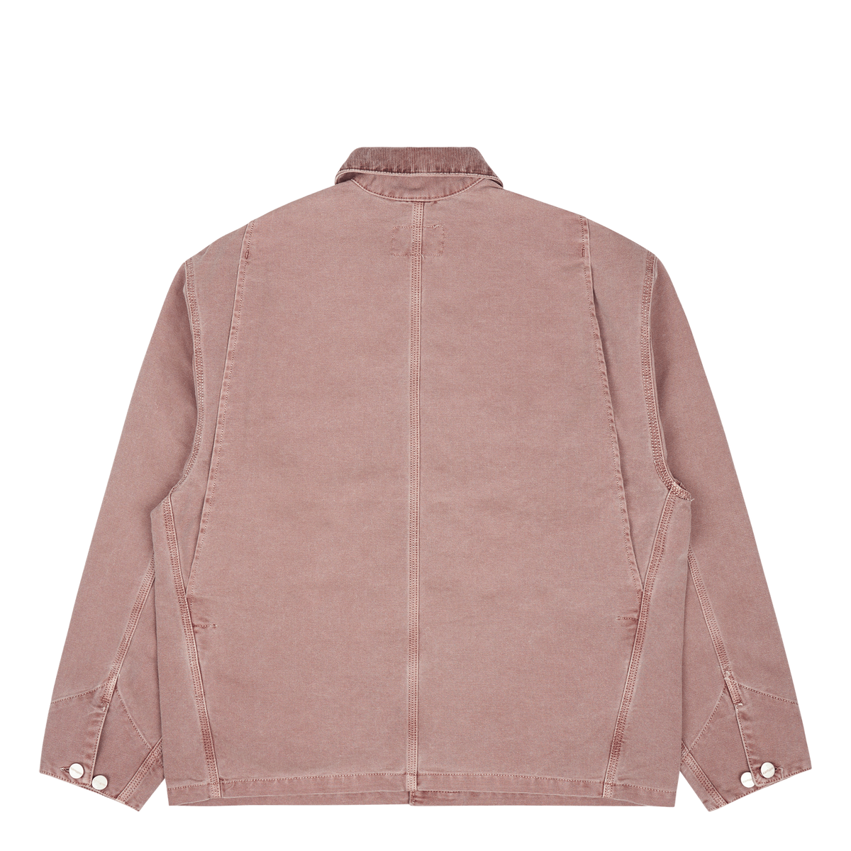 W' Og Michigan Coat Lupinus / Lupinus