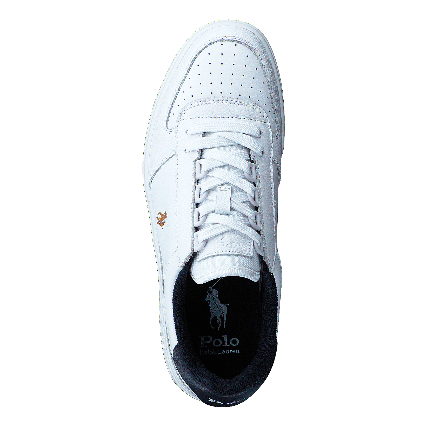 Polo Ralph Lauren Court Leather Low-Top Sneaker