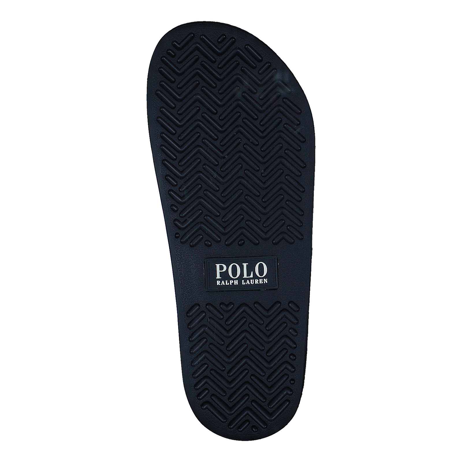 Polo Bear Slide Navy