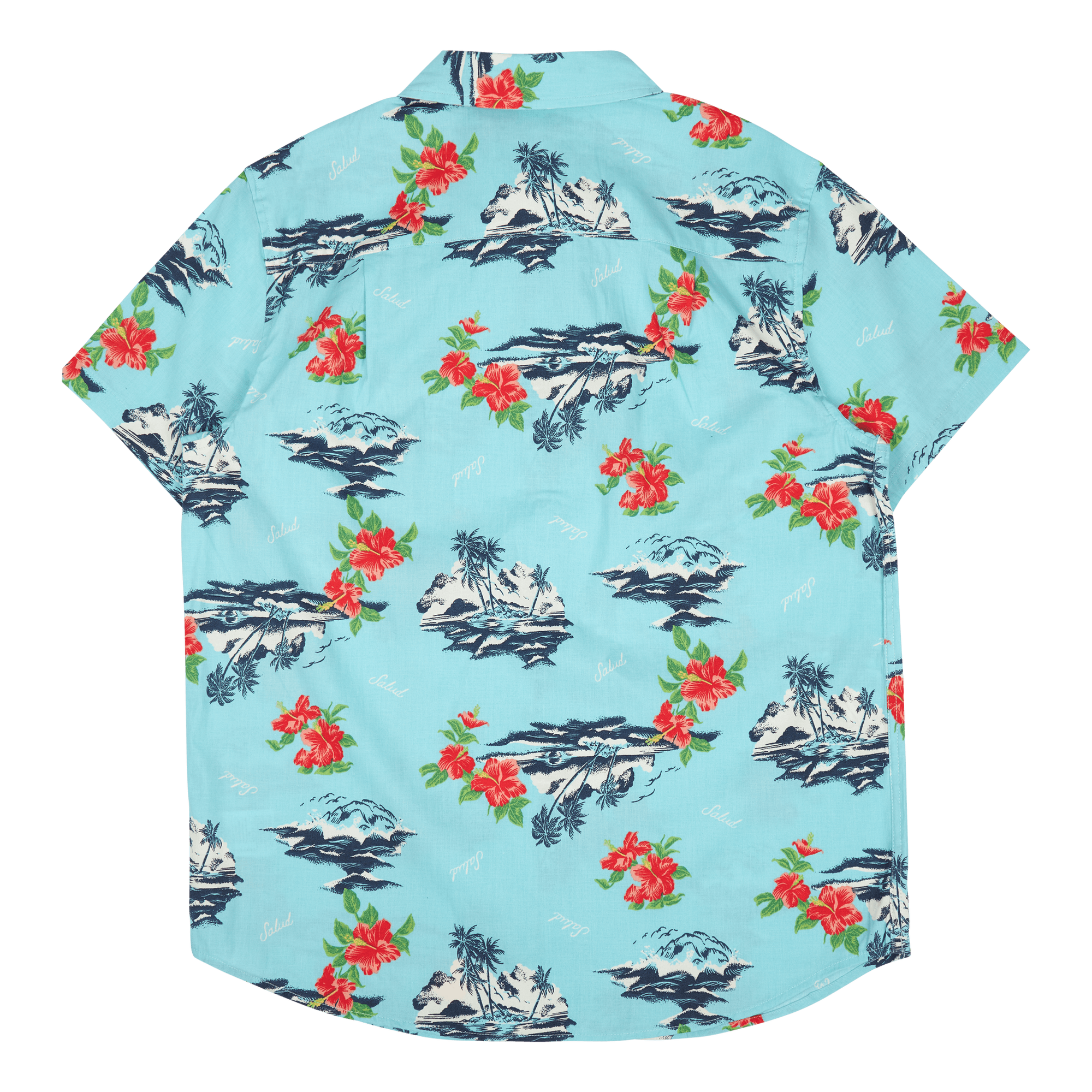 Charter Print S/s Wvn Canal Blue/paradise