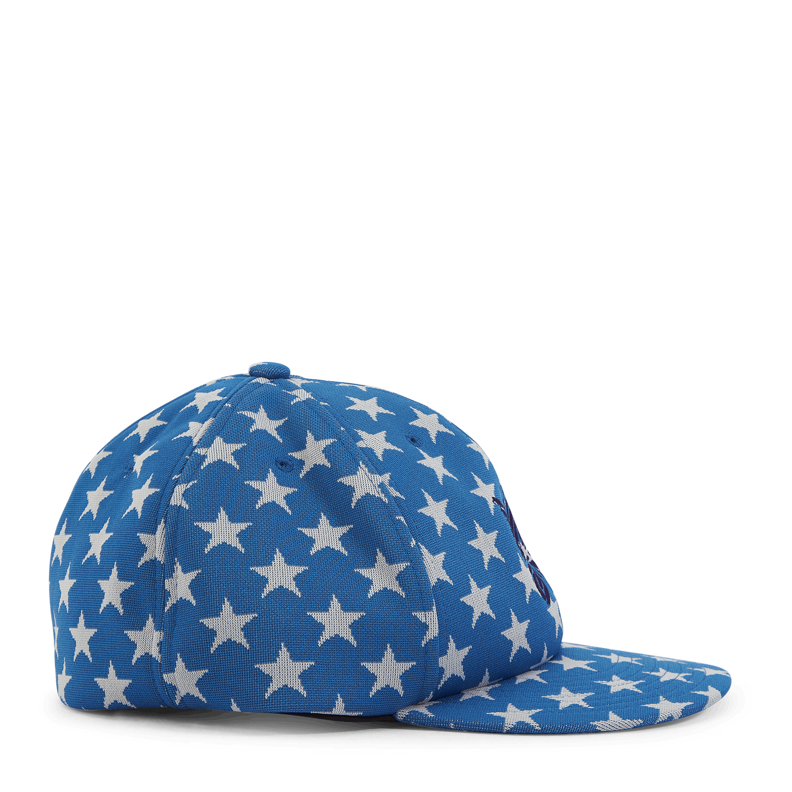 Needles Baseball Cap - Poly Jq C-star