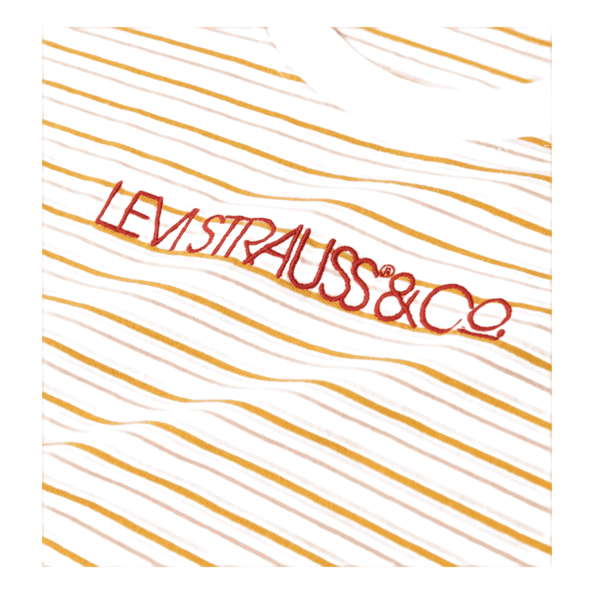 Graphic Varsity Tee Multi