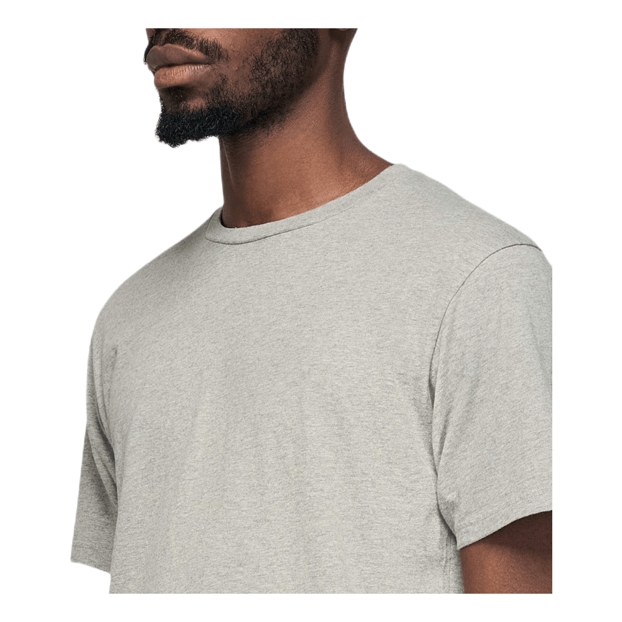 Classic Organic T-shirt Gray